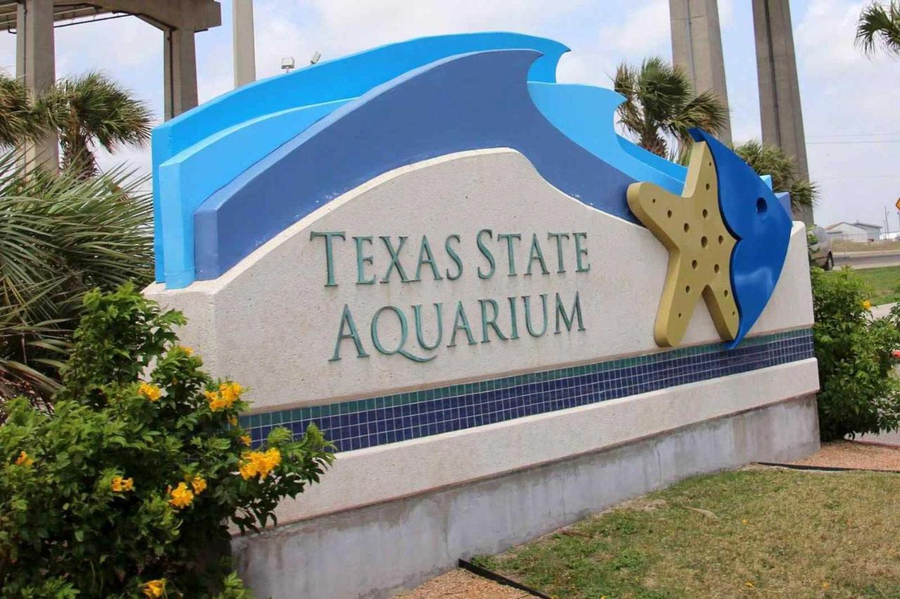 Corpus Christi Condo With Pool Access, Walk To Beach Εξωτερικό φωτογραφία